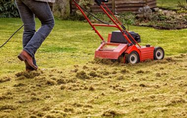 Skarifikator ya aerator? Hər şey bağ üçün!