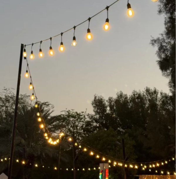 Dekorativ led işığı (200 lampa) Modi HWW3001