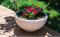 Beton dibçək, ŞSVZ013, (H/32sm x D/60sm)    Beton dibçək, ŞSVZ013, (H/32sm x D/60sm)